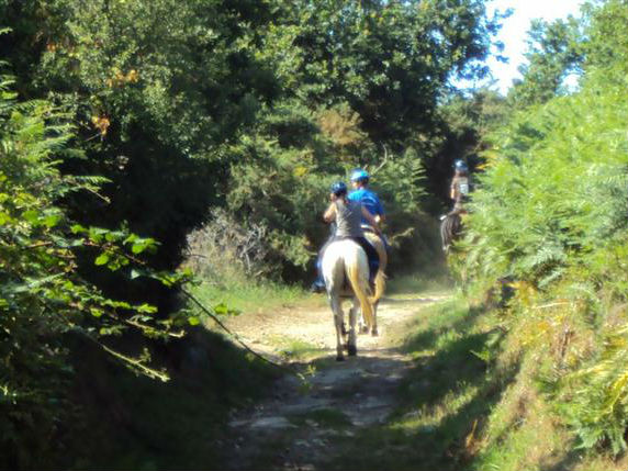 ballades à cheval à Pleumeur-Bodou