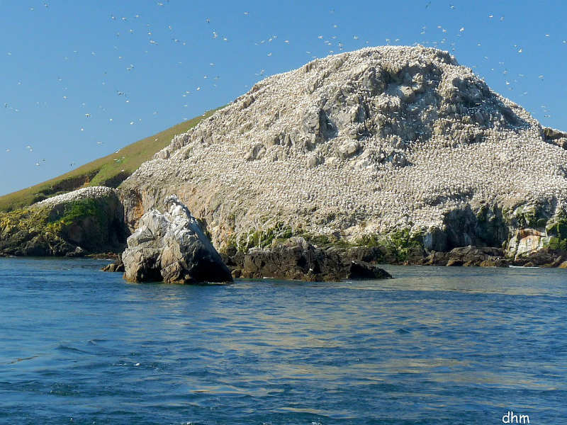 Croisière aux Sept-iles